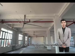 5স্কুল এবং জিমনেসিয়ামের জায়গাগুলিতে সর্বোত্তম বায়ু সঞ্চালনের জন্য.0M 16FT বড় ভ্যান