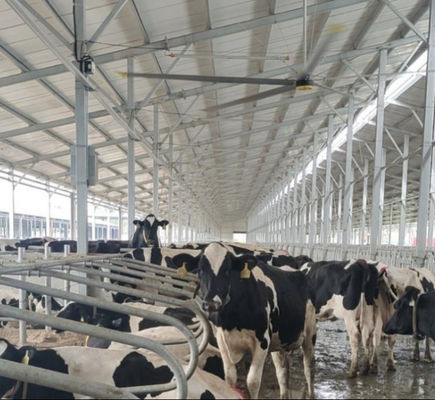 ভালো দাম বহুমুখী দৈত্য সিলিং ফ্যান 380V 220V 1.5KW শক্তি সঞ্চয় সিলিং ফ্যান অনলাইন
