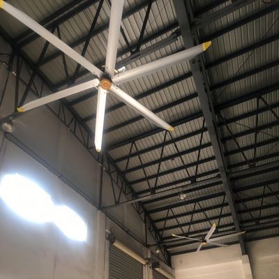 ভালো দাম রেস্টুরেন্ট সিলিং ফ্যান মাউন্ট 5.0m 16FT BLCD মোটর HVLS বড় গুদাম জন্য বায়ুচলাচল অনলাইন