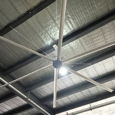 ভালো দাম 24ft অ্যালুমিনিয়াম ম্যাগনেসিয়াম খাদ HVLS শিল্প সিলিং ভ্যান গুদাম উচ্চ ভোল্টেজ জন্য অনলাইন