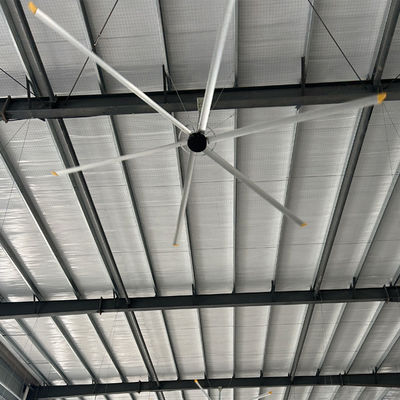 ভালো দাম ফ্যান ব্যাসার্ধ 8FT-24FT PMSM মোটর চালিত HVLS সিলিং ফ্যান ক্যাবল উত্পাদন কর্মশালার জন্য অনলাইন